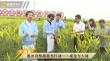 脫貧攻堅戰(zhàn)星光行動 成龍大同下鄉(xiāng)與農民親密接觸
