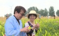 成龍考察脫貧支柱產(chǎn)業(yè) 為當(dāng)?shù)剞r(nóng)產(chǎn)品代言