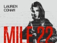 22英里