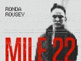 22英里