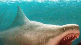 《巨齿鲨》水立方中国首映礼 逼真视效惊险刺激