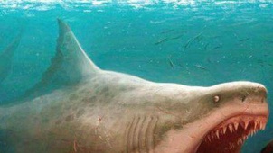 《巨齿鲨》水立方中国首映礼 逼真视效惊险刺激