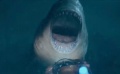 周末上映：人性寓言《一出好戏》 “海底侏罗纪”《巨齿鲨》