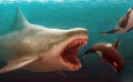 科幻漏洞重重 这个《巨齿鲨》你也太不挑食了！