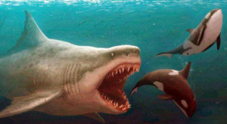 科幻漏洞重重 这个《巨齿鲨》你也太不挑食了！