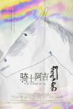 騎士阿吉