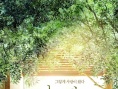沉睡蝴蝶
