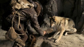《阿尔法：狼伴归途》发“化险为谊”特辑