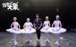 《跳舞吧！大象》殺青 艾倫組開心麻花全新組合