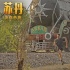 《苏丹》魔鬼训练特辑曝光 “印度成龙”苦练增肌