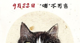 《爱猫之城》曝“Q版猫”海报9月22日萌猫来袭