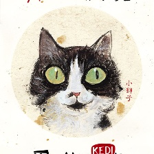 愛(ài)貓之城