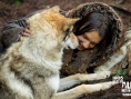 《阿尔法：狼伴归途》亲情动人 引领家庭观影风潮