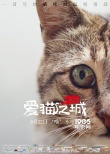 《爱猫之城》9.22公映 牛奶咖啡“解读”《猫语》