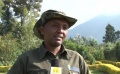 走進(jìn)“千丘之國”盧旺達(dá) 探秘山地大猩猩的火山“猩球”