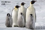 2018年《帝企鹅日记2：召唤》再度来袭，正式定档10月12日在中国大陆上映，同时影片还曝光了定档海报及预告，萌萌的小企鹅们将如何面对“成长的烦恼”令观众充满了好奇与期待。


