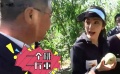 李冰冰科普桃树小彩带的大用途 大赞晚熟桃“好甜”