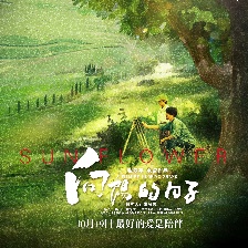 向陽的日子