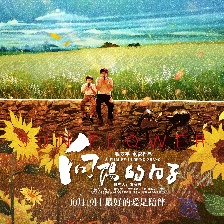 向陽的日子