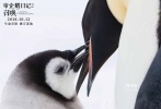 《帝企鹅日记2：召唤》10月12日国内正式上映，同时发布了一支“爸爸带娃”特辑，特辑中充满了企鹅父子相处的逗趣儿场面，令人忍俊不禁。