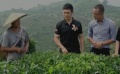 黄晓明江城扶贫全回顾 听闻村民现状泪洒当场