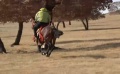 吳京蒙古那達(dá)慕賽馬 吐槽和蒙古人賽馬“我瘋了嗎”