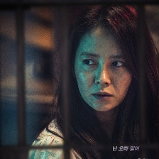 憤怒的公牛