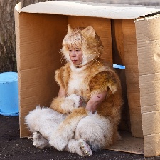 虎先生