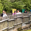 王思聰日本被偶遇 校長吃完熱狗陪女友逛環(huán)球影城