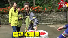 林心如团队广西天等县调研 体验古法辣椒酱制作