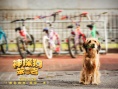 神探狗笨吉