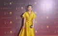 第17届华表奖红毯星光熠熠 章子怡一袭长裙发型吸睛