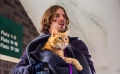 软萌可爱的猫咪在银幕上有几幅面孔呢？