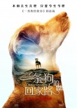 《一條狗的回家路》曝預(yù)告 貝拉橫跨四季為愛歸來