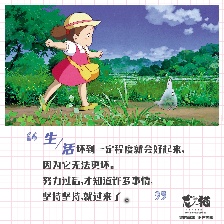 龍貓