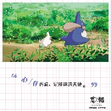 龍貓