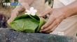 护垫侠应该选择谁？ 《印度合伙人》曝情感特辑