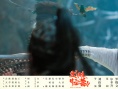 《武林怪兽》曝悬赏版海报 古天乐率群侠笑闹圣诞