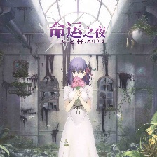 命運(yùn)之夜——天之杯：惡兆之花