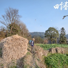 四個春天