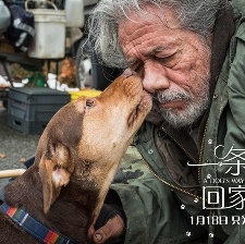 一條狗的回家路