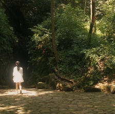 漫游