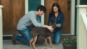 《一条狗的回家路》“家是归途”正片片段 为何回家引网友热议