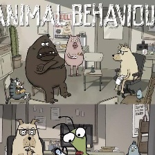 动物行为