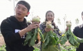 《中國(guó)銀幕》風(fēng)云榜之年度風(fēng)潮 電影人積極響應(yīng)“脫貧公益”