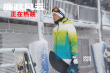 《廉政风云》