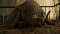 《小飞象》电视预告 大小象互动可爱