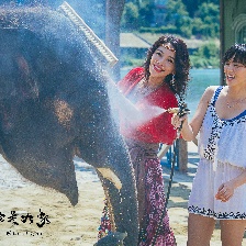 我的寵物是大象