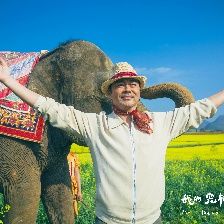 我的寵物是大象