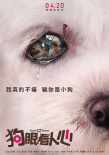 狗眼看人心